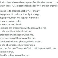 If chloroplasts and mitochondria could speak