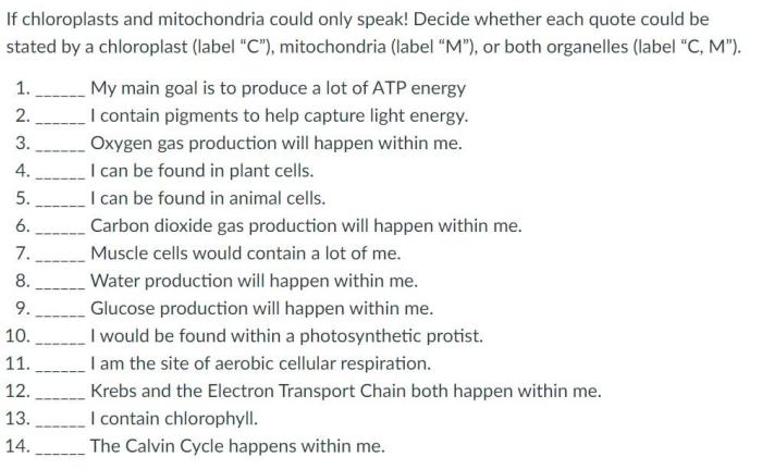 If chloroplasts and mitochondria could speak